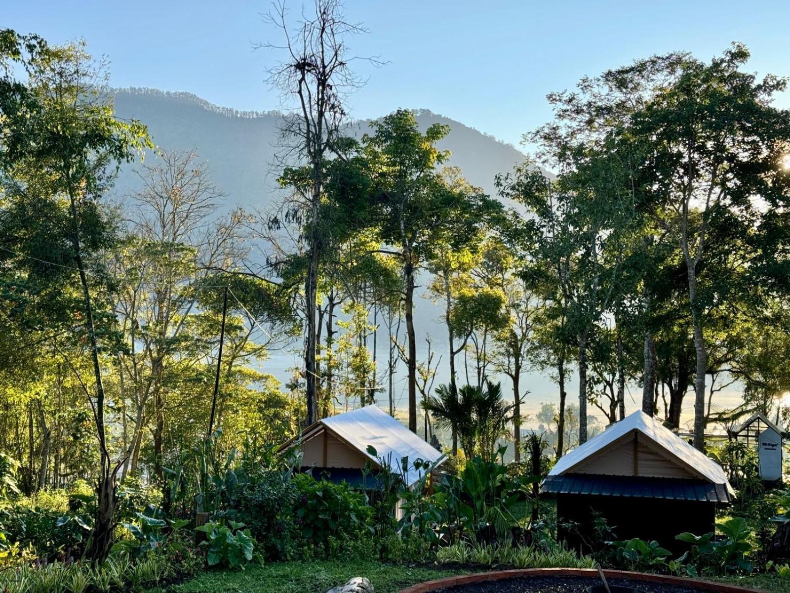 Green Lava Lake View Glamping Bedugul Bedugul (Bali) Exterior foto